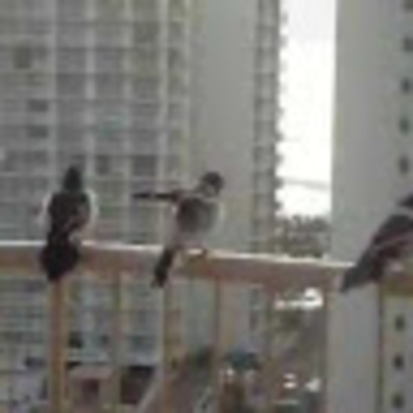 Meet your Posher, Clare - Picture 1 of 1